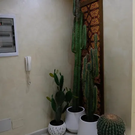 Central Inn City Apartments * Τίρανα